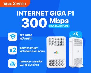 lắp đặt fpt